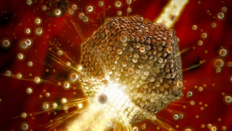 ‘Artificial Atoms’ Assemble into Perfect Lattices with Many Uses