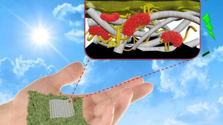 Biodegradable, Hybrid Paper-Based Biobatteries