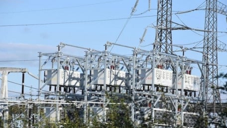 Static vs. Dynamic ZIP Loads in IEEE Power Testing