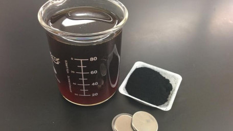 Building Lithium-Sulfur Batteries with Paper Biomass