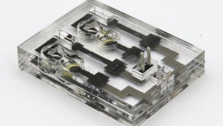 Biosolar Cell Could Power Sensors for the Internet of Things
