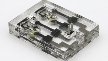 Biosolar Cell Could Power Sensors for the Internet of Things