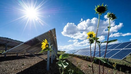 Automated Solar Cells: Are Robots the Future of Solar Power Innovation?