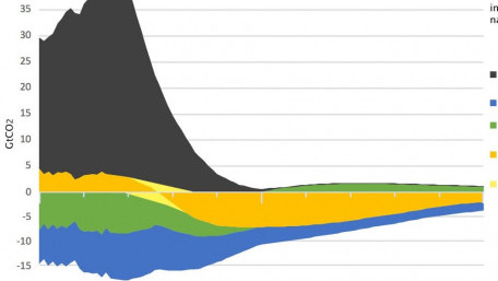 Decarbonization Possible with 100% Renewables and Use of Natural Climate Solutions