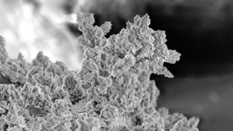 Research Tackles the Dendrite Dilemma in Lithium Batteries