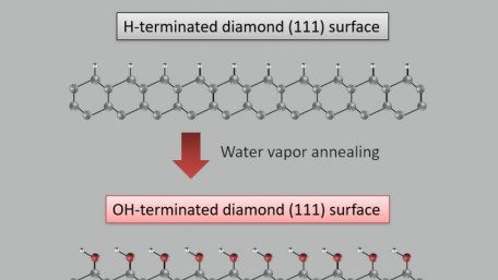 Water Vapor Annealing on Diamond for Next-Generation Power Devices