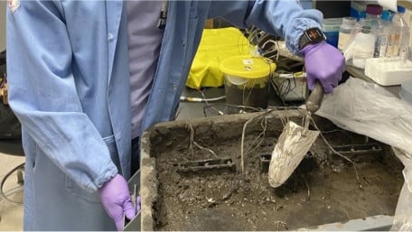 Energy from Dirt? Scientists Create Reliable Soil-Based Battery