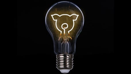 Ecotricity Launches Vegan Electricity in Britain