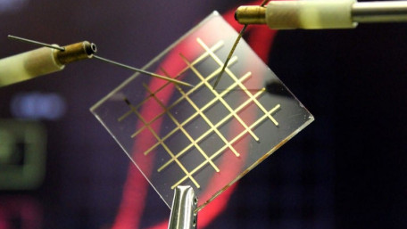Ferroelectric Nylon as a Building Block for Transparent Electronic Devices