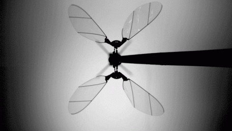 RoboBee Cuts the Cord for Untethered Flight Powered by Solar Cells