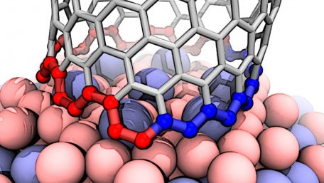 Growing Identical Carbon Nanotubes Not as Simple as Hoped