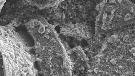Hybrid Material Improves the Performance of Silicon in Li-ion Batteries