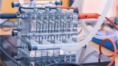Unlocking the Potential of Platinum-Free Catalysts in Hydrogen Fuel Cells