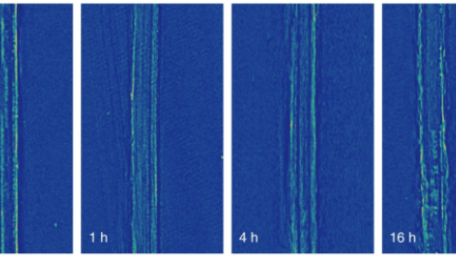 New Electric Battery Technology Could Power Electric Flight and Longe-Range Electric Vehicles