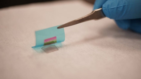Study Opens Route to Flexible Electronics Made from Exotic Materials