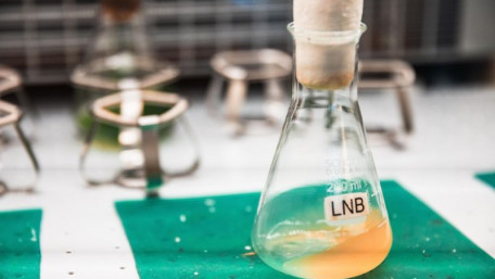 Engineering Bioelectric Bacteria to Produce Renewable Energy