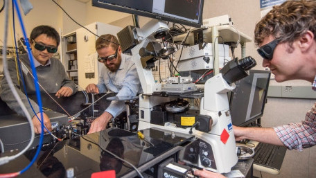 New Results Reveal High Tunability of 2-D Material