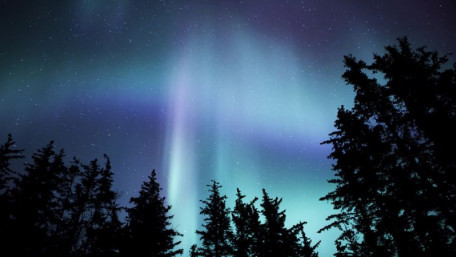 Stormy Space Weather: Exposing the Power Grid’s Weaknesses 