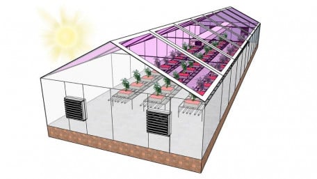 Next Generation of Greenhouses May Sell Energy and Grow Plants