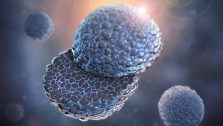 Argonne Lab Develops PEDOT Cathode Coating Improving Lithium-Ion Batteries
