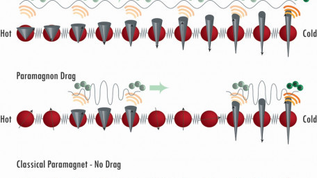 Paramagnetic Spins Take Electrons for a Ride, Produce Electricity from Heat