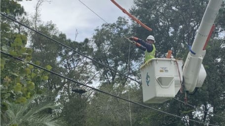 Self-Healing Grids and the Future of Power Distribution