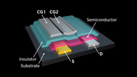 Researchers Create a Unique Transistor Device based on Neural Function
