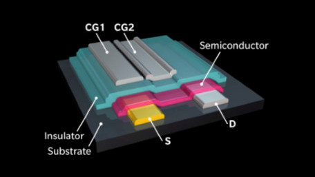 Researchers Create a Unique Transistor Device based on Neural Function