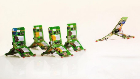 Robot-Ants that can Jump, Communicate and Work Together