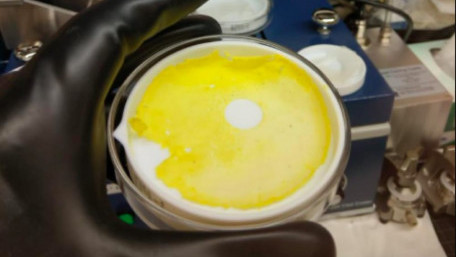 Robust, Solid-State Polymer Electrolytic Membrane for Battery Development