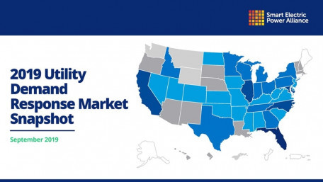 SEPA Report: New Technologies and Software to Power Demand Response