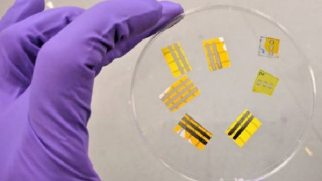 Scientists Work to Develop a Light-emitting Tattooable Technology