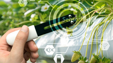Low IQ LDO Regulators for IoT Sensors
