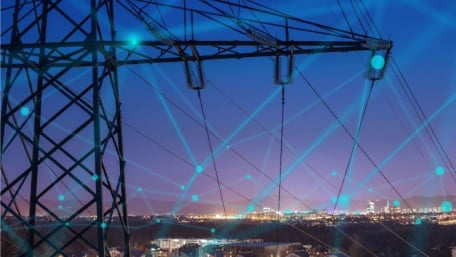 Growing Pains: Dynamic Power Management To Ease Smart Grid Overload