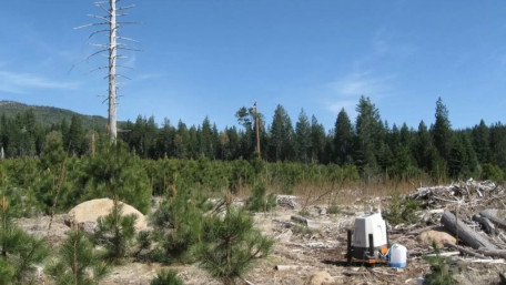 Lidar Watches the Wind To Optimize Turbine Placement
