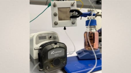 From Vineyard to Batteries: Grape Acid Aids in Metals Recycling
