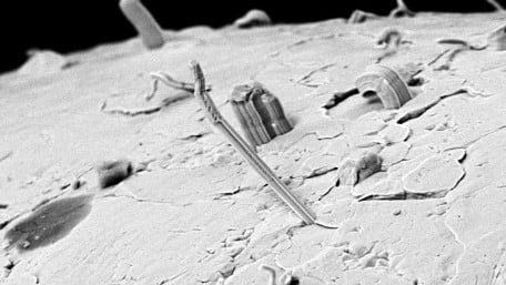 Tin Whisker Formation Prevented with ALD Nanolaminate Coating