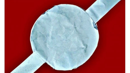 University Researchers Develop a Green Supercapacitor