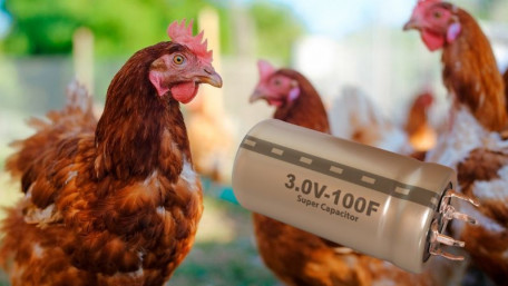 From Cobalts to Schmaltz: Chicken Fat for Supercapacitor Electrodes