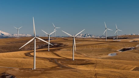Clean Energy Jobs Leading Recovery