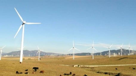 Watching the Wind: AI Finds Faults Faster