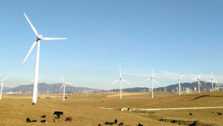 Watching the Wind: AI Finds Faults Faster