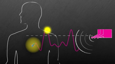 Wireless System can Power Multiple Devices Inside the Body