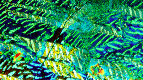Vanadium Iodine Found to be 2D Ferromagnetic Semiconductor