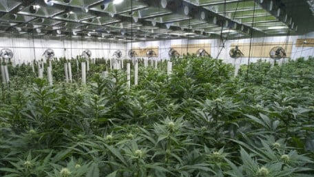 Kontrol Energy to Supply Integrated Energy Solutions to Cannabis Growers