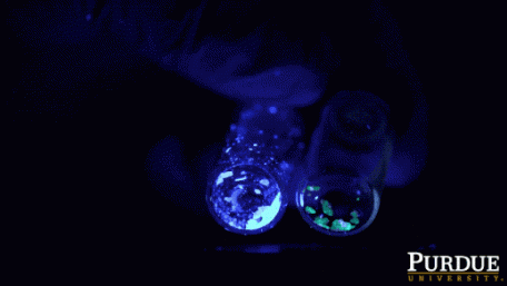 New Material Points Toward Highly-Efficient Solar Cells without Lead