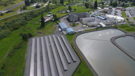 Addressing Microgrid Uncertainties With Predictive Forecasting Models