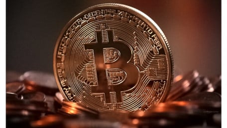 Bitcoin Waste Heat Powers Holland’s Tulips
