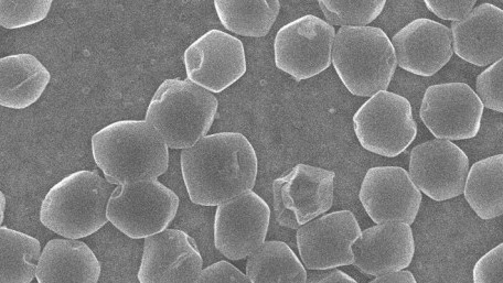 Nano Researchers Grow Ingredients for Faster Lithium-metal Batteries