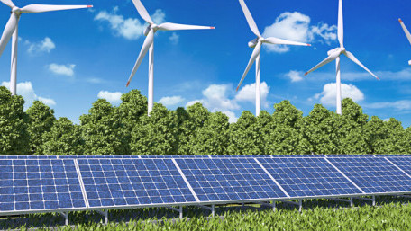 Nature-Influenced Power Grid Designs